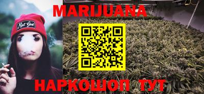 амф Кандалакша