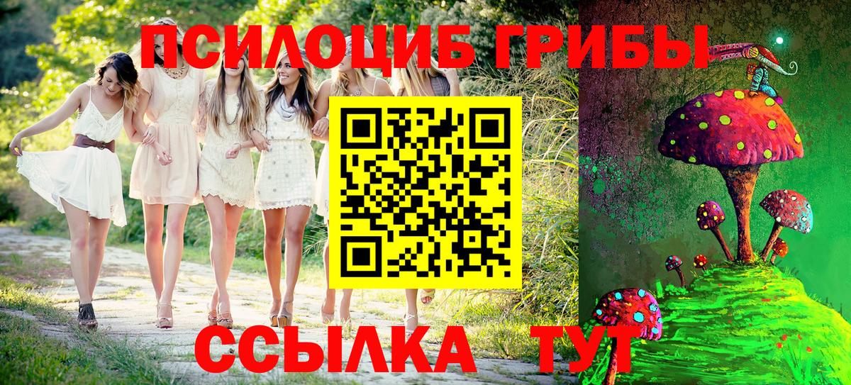 Озёры  Галлюциногенные грибы Psilocybine cubensis  Вход с VPN 